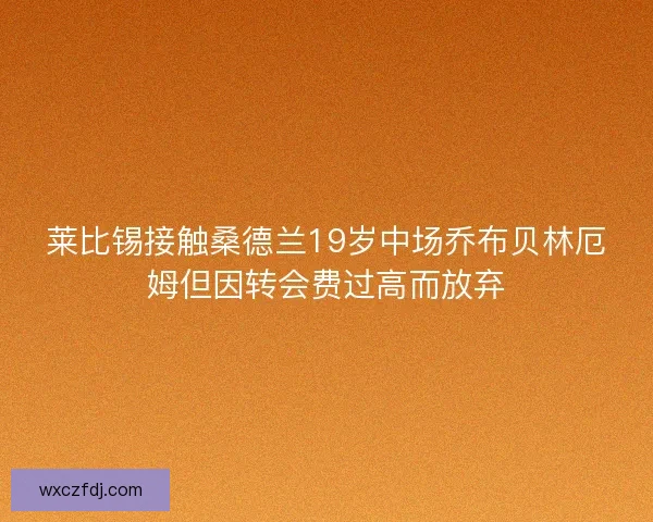 莱比锡接触桑德兰19岁中场乔布贝林厄姆但因转会费过高而放弃 莱比锡接触桑德兰19岁中场乔布贝林厄姆但因转会费过高而放弃