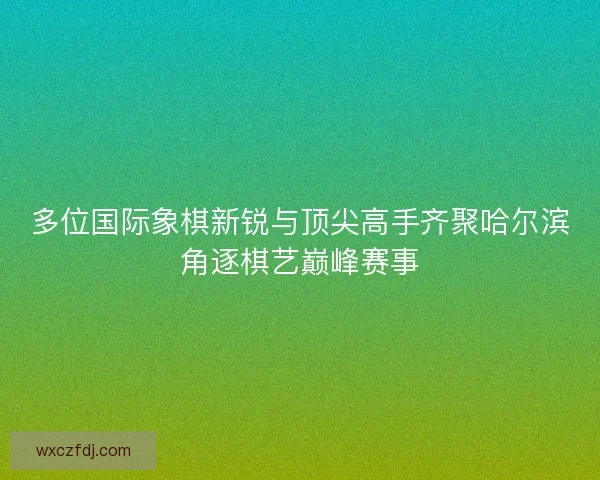 多位国际象棋新锐与顶尖高手齐聚哈尔滨角逐棋艺巅峰赛事 多位国际象棋新锐与顶尖高手齐聚哈尔滨角逐棋艺巅峰赛事