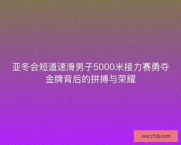 亚冬会短道速滑男子5000米接力赛勇夺金牌背后的拼搏与荣耀