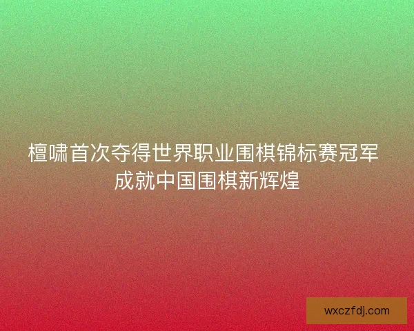 檀啸首次夺得世界职业围棋锦标赛冠军 成就中国围棋新辉煌