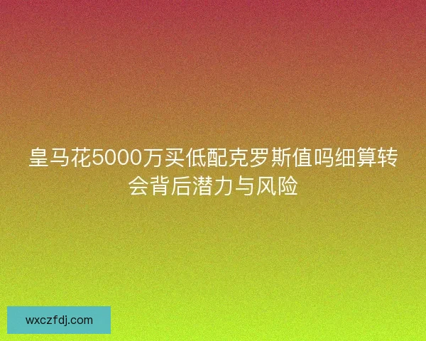 皇马花5000万买低配克罗斯值吗细算转会背后潜力与风险 皇马花5000万买低配克罗斯值吗细算转会背后潜力与风险