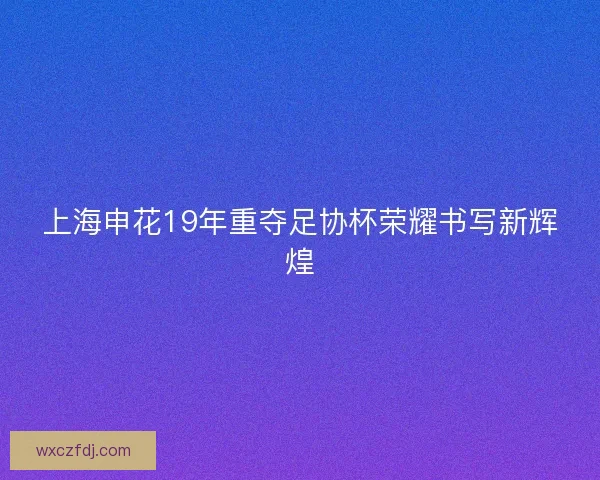 上海申花19年重夺足协杯荣耀书写新辉煌 上海申花19年重夺足协杯荣耀书写新辉煌