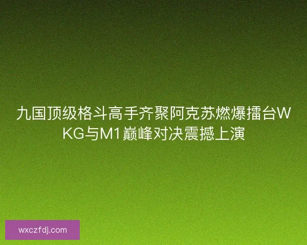 九国顶级格斗高手齐聚阿克苏燃爆擂台WKG与M1巅峰对决震撼上演